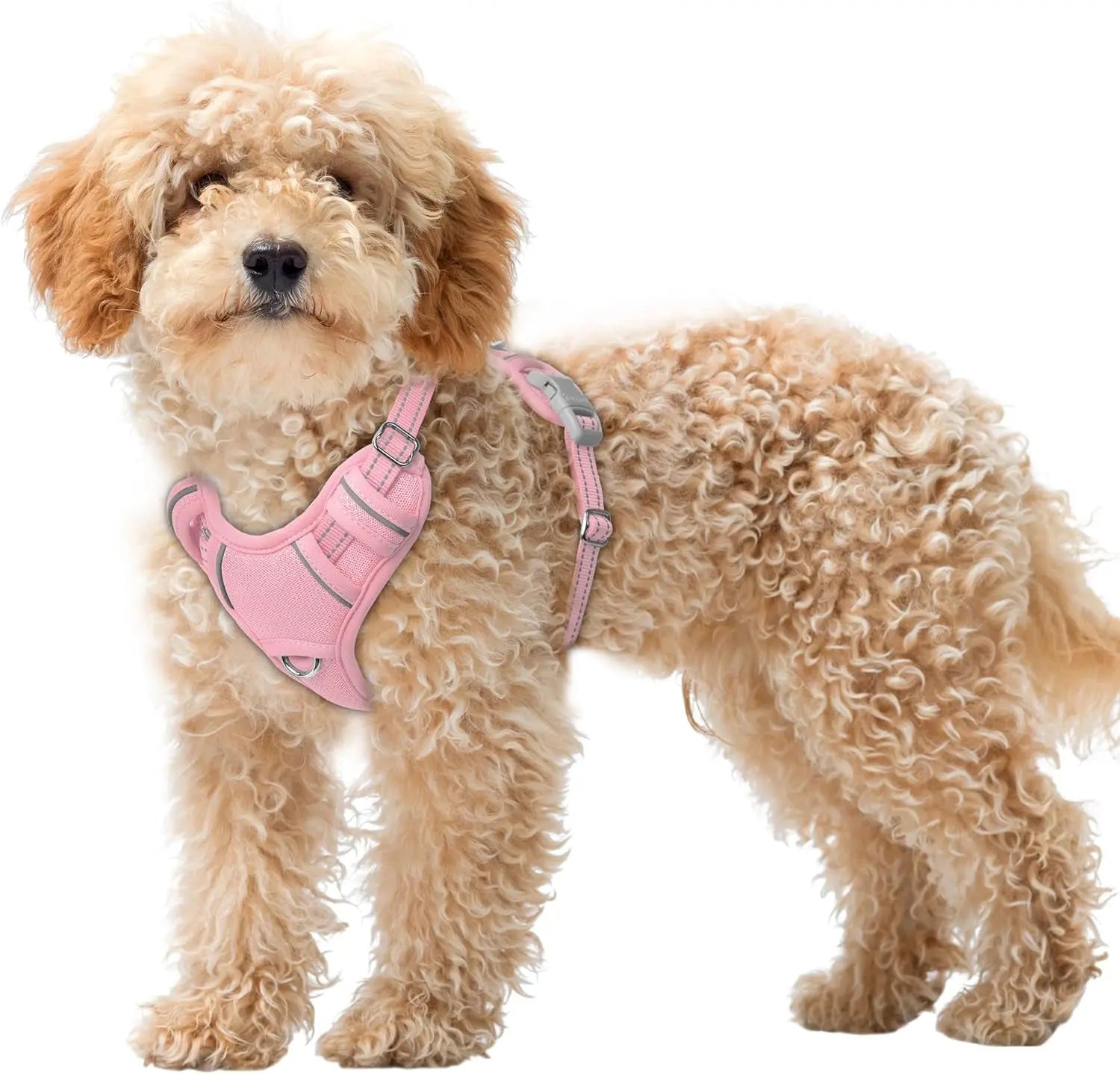 Reflective No-Pull Dog Harness, Adjustable Comfort for Training & Walking Baby Pink X-Small