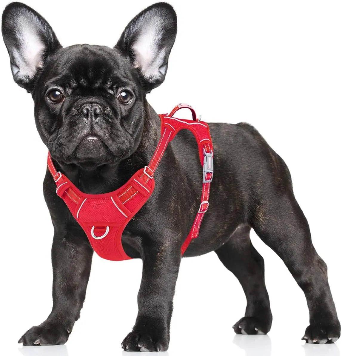 Reflective No-Pull Dog Harness, Adjustable Comfort for Training & Walking Red Small