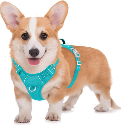 Reflective No-Pull Dog Harness, Adjustable Comfort for Training & Walking Ocean Blue Medium