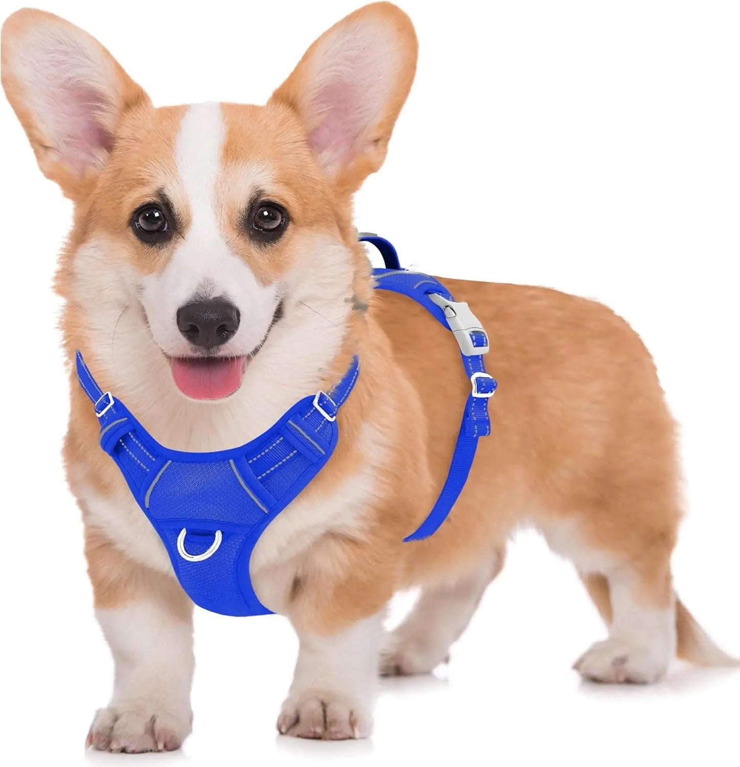 Reflective No-Pull Dog Harness, Adjustable Comfort for Training & Walking Sapphire Blue Medium