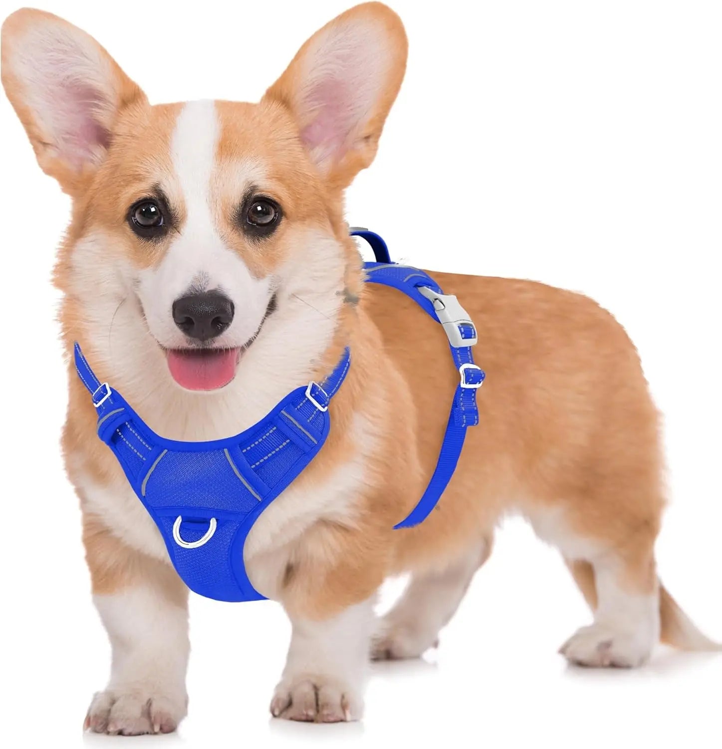 Reflective No-Pull Dog Harness, Adjustable Comfort for Training & Walking Sapphire Blue Medium