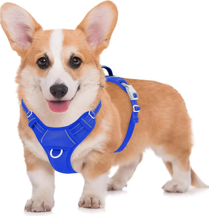 Reflective No-Pull Dog Harness, Adjustable Comfort for Training & Walking Sapphire Blue Medium