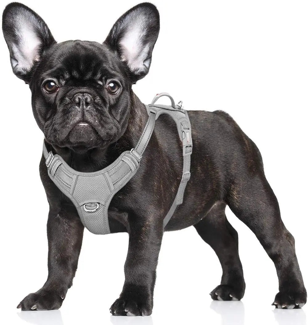 Reflective No-Pull Dog Harness, Adjustable Comfort for Training & Walking Grey Small