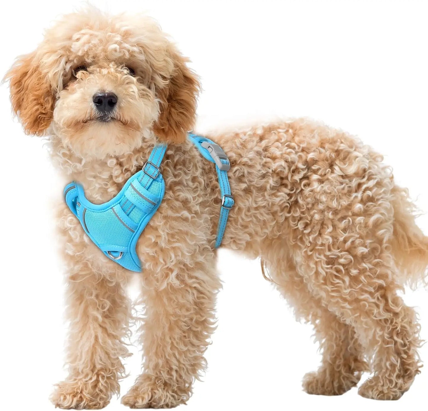 Reflective No-Pull Dog Harness, Adjustable Comfort for Training & Walking Blue X-Small