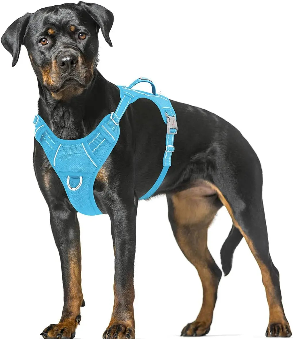 Reflective No-Pull Dog Harness, Adjustable Comfort for Training & Walking Blue X-Large