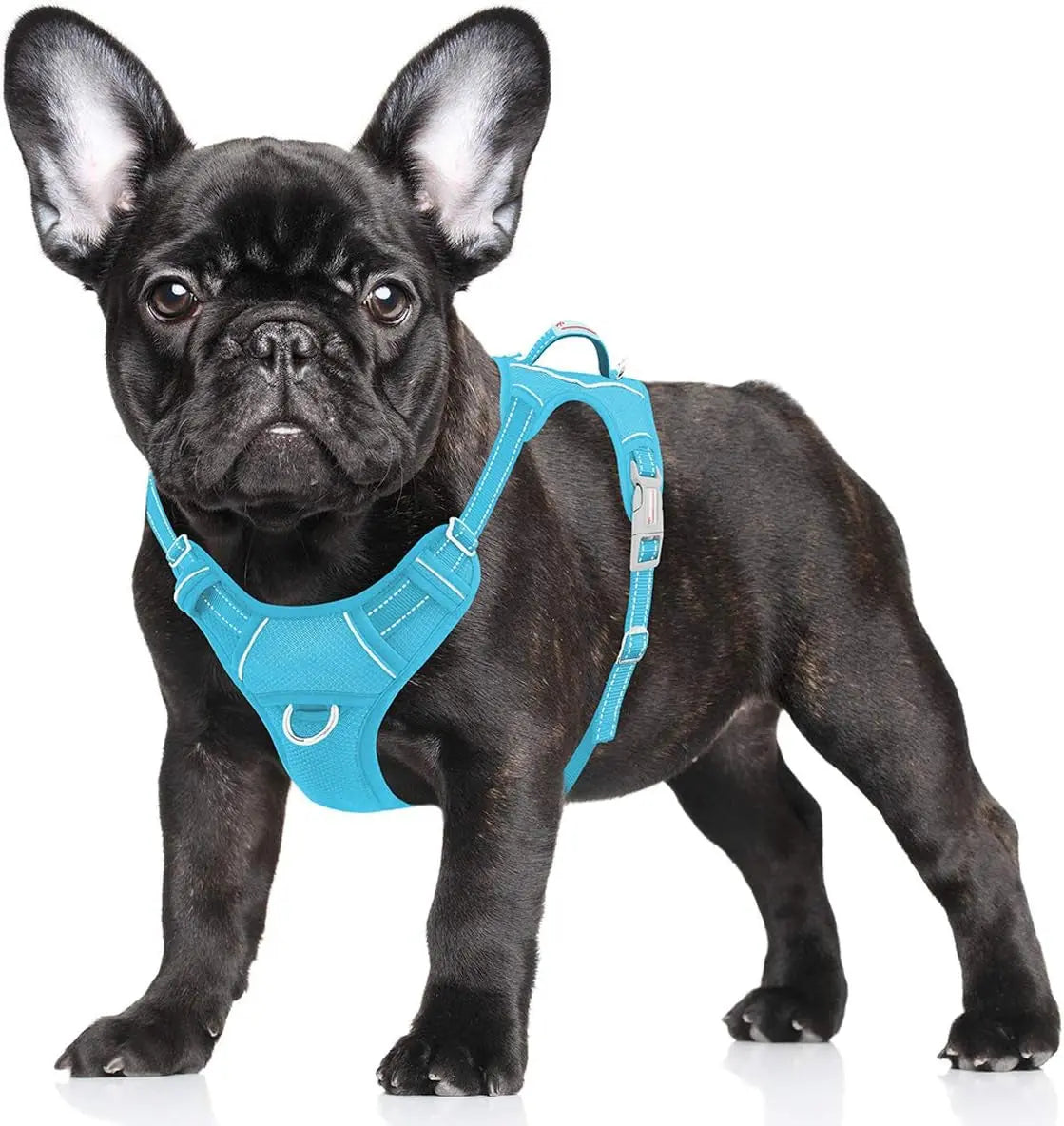 Reflective No-Pull Dog Harness, Adjustable Comfort for Training & Walking Blue Small