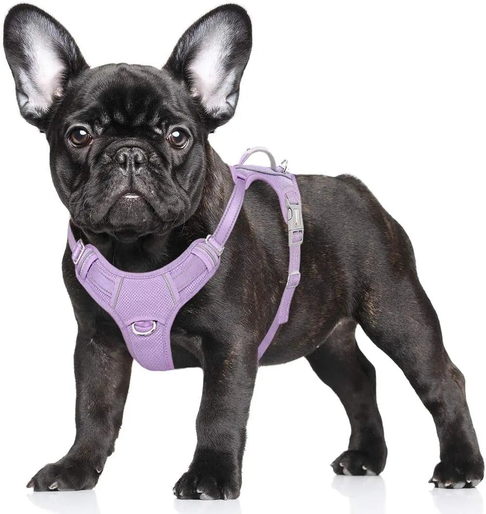Reflective No-Pull Dog Harness, Adjustable Comfort for Training & Walking Violet Purple Small