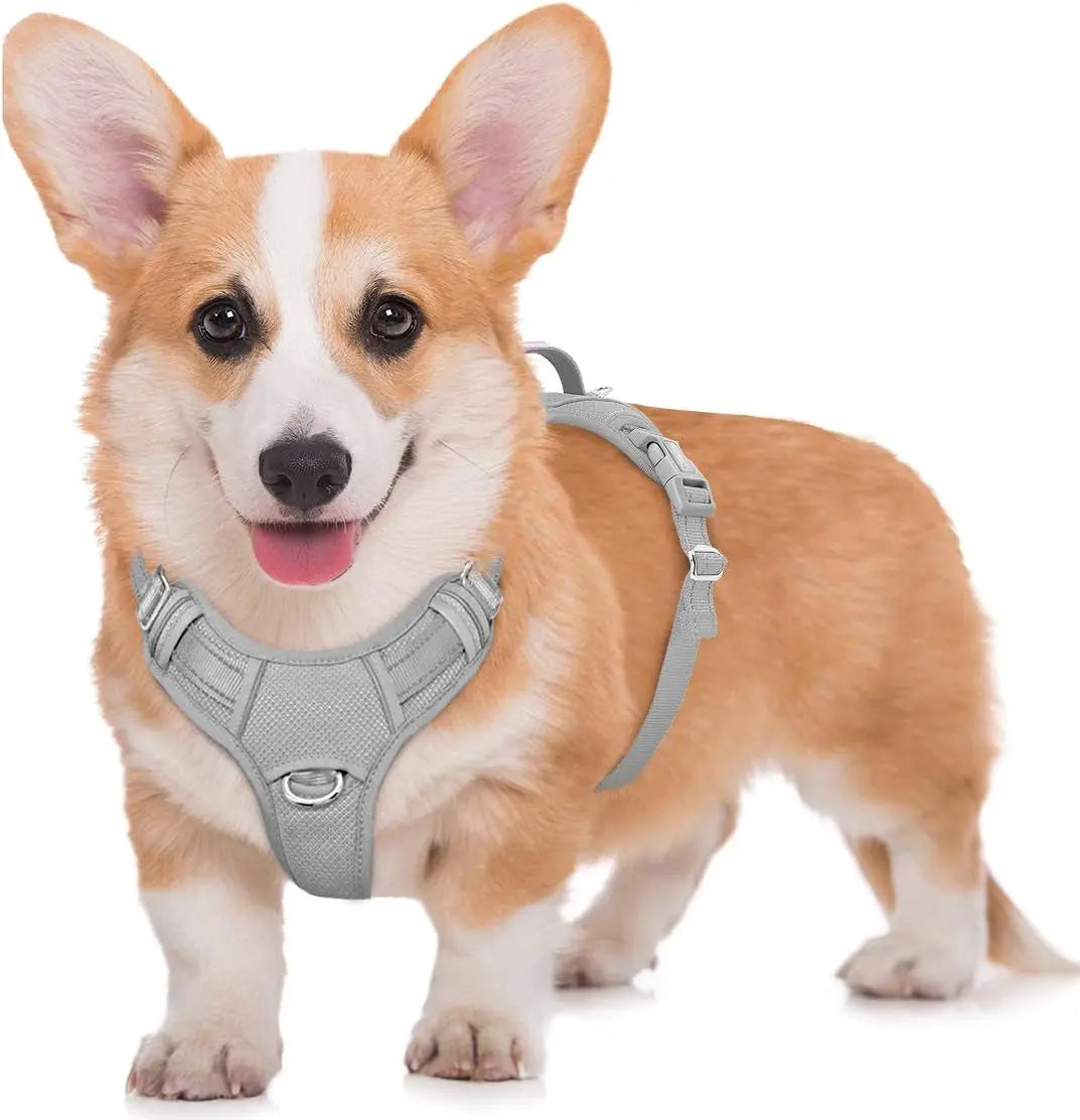 Reflective No-Pull Dog Harness, Adjustable Comfort for Training & Walking Grey Medium