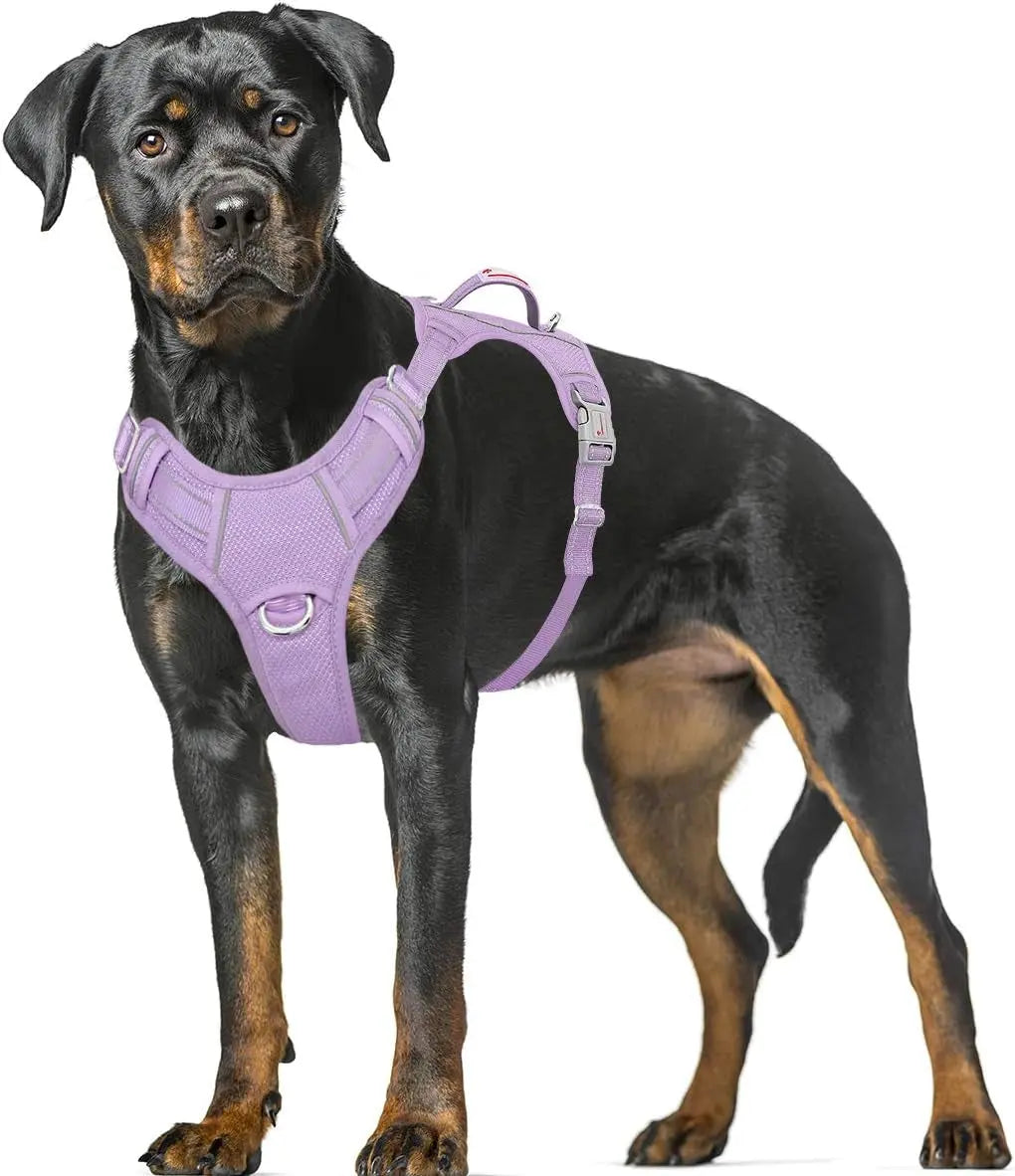 Reflective No-Pull Dog Harness, Adjustable Comfort for Training & Walking Violet Purple X-Large