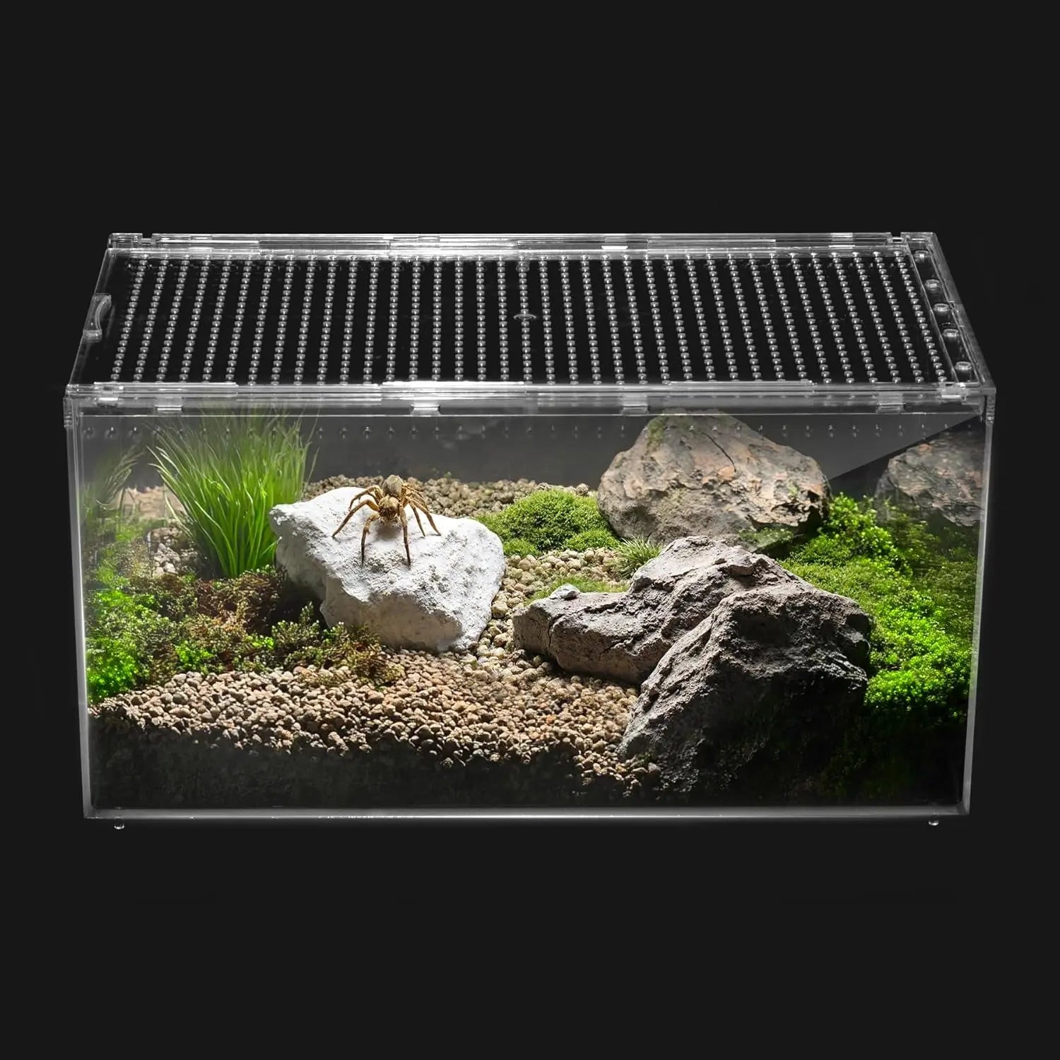 Reptile PC Terrarium Starter Kit Enclosure for Spiders, Geckos & Insects Slide Lid Tank