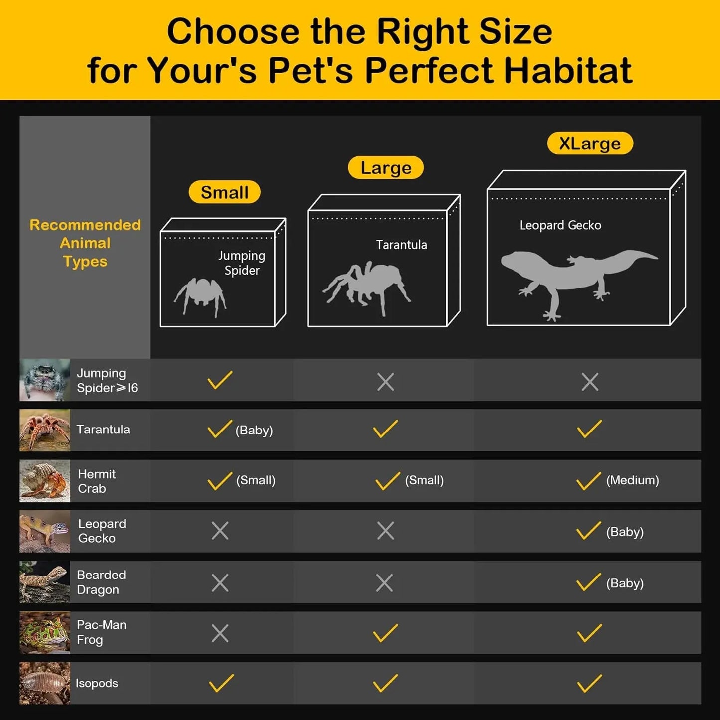 Reptile PC Terrarium Starter Kit Enclosure for Spiders, Geckos & Insects