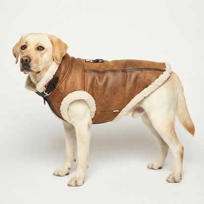 Retro Aviator Dog Jacket Faux Leather Sherpa Coat XS-3XL Winter
