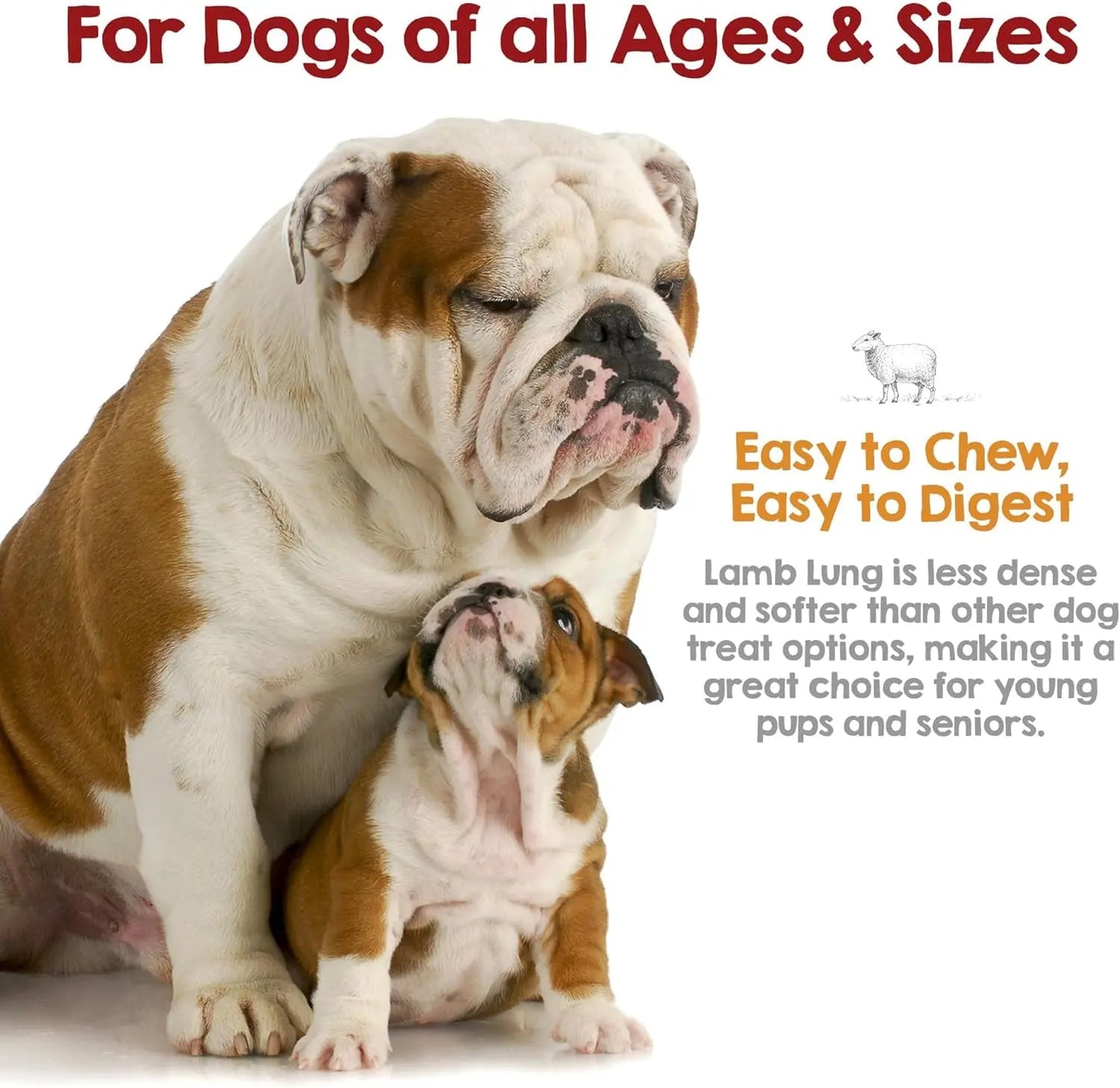 Riley’s Dehydrated Lamb Lung Dog Treats – Single Ingredient, USA Made, 6 oz