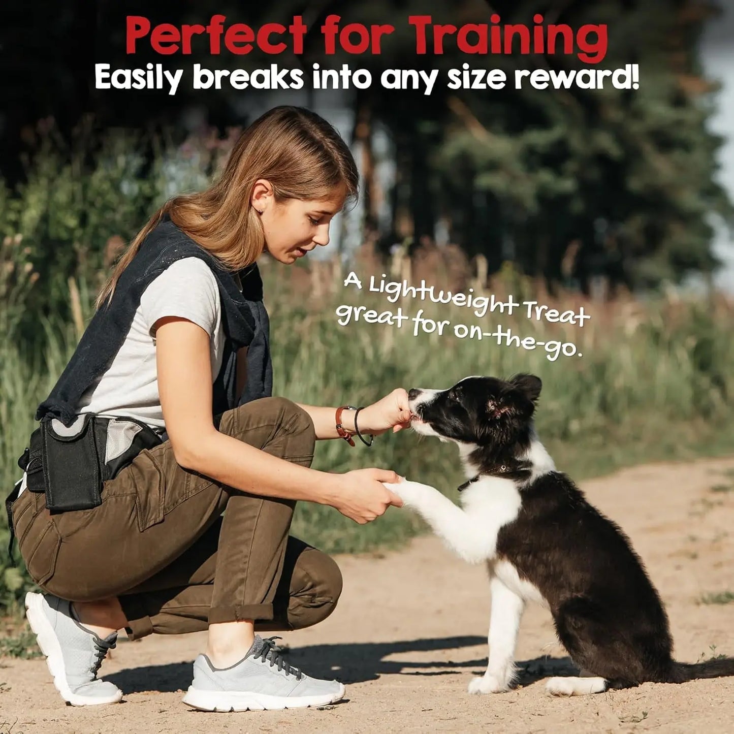 Riley’s Dehydrated Lamb Lung Dog Treats – Single Ingredient, USA Made, 6 oz