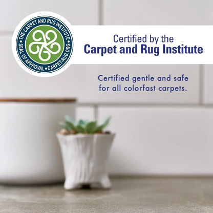 Rocco & Roxie Pet Stain & Odor Eliminator 32oz Enzyme Carpet Cleaner Spray