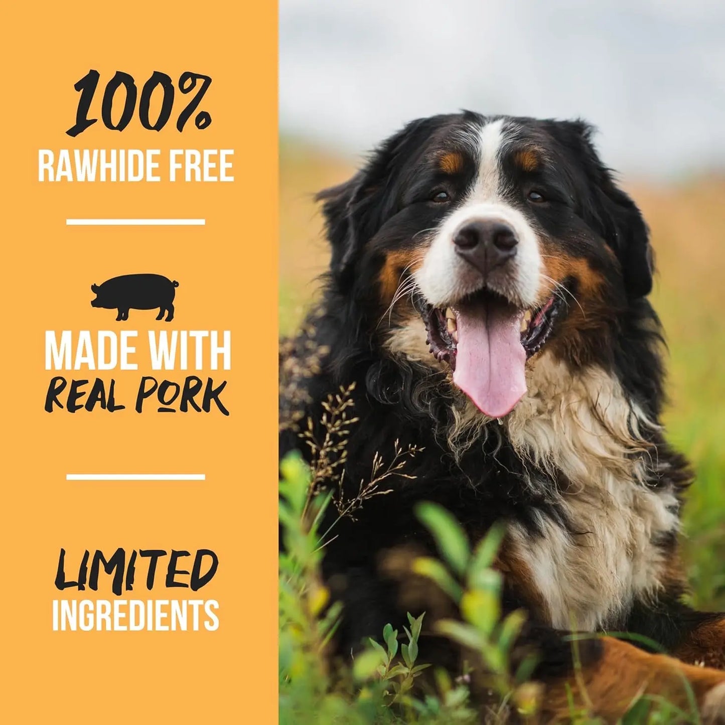 Scott Pet Grillerz Pig Ears Dog Chews, 12 Count, All-Natural Single Ingredient