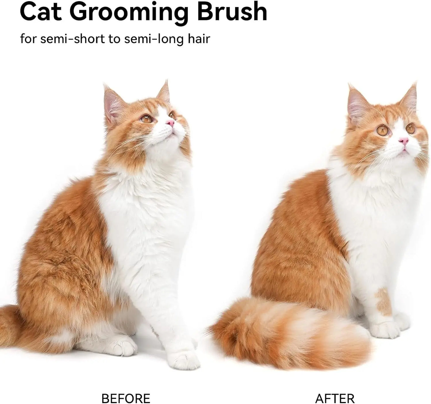 Self Cleaning Cat Brush for Shedding & Massage Short Long Hair Grooming