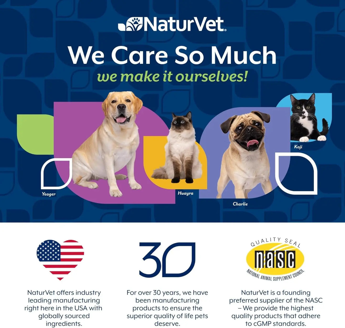 Senior Dog Multivitamin Glucosamine Joint Support NaturVet Soft Chews 120ct