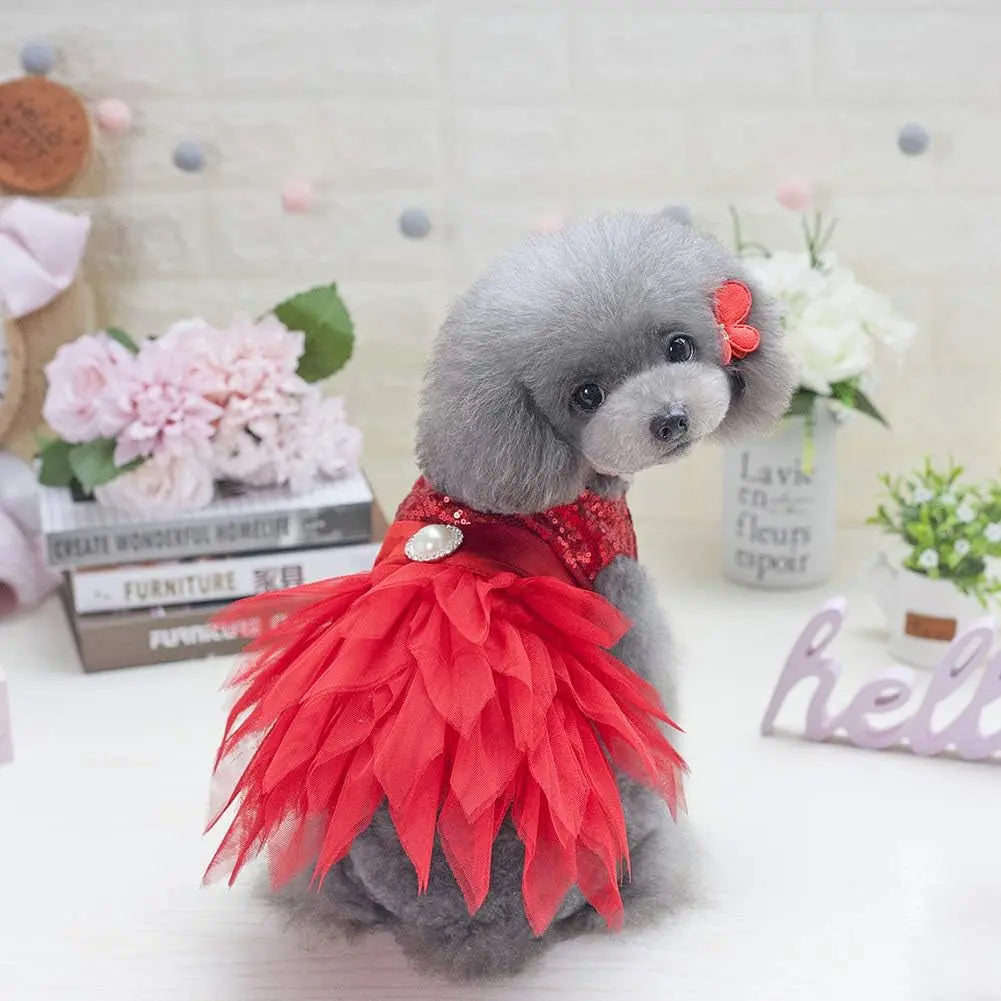 Sequin Bow Party Dress for Small Dogs Formal Dance Outfit All Sizes