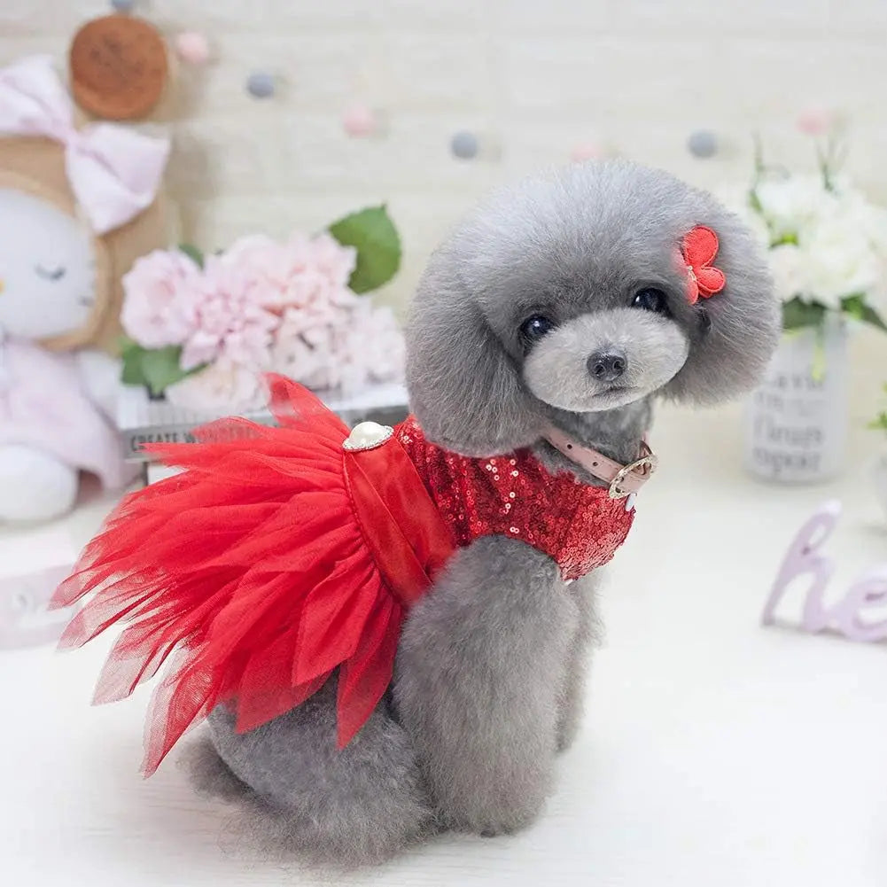 Sequin Bow Party Dress for Small Dogs Formal Dance Outfit All Sizes