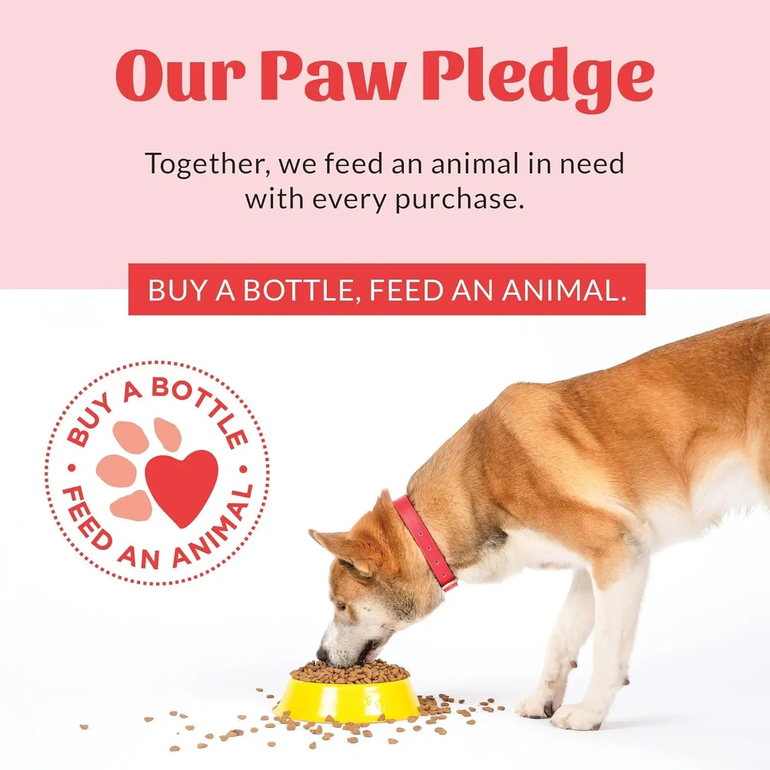 Skout’s Honor Probiotic Pet Detangler Spray – Hydrating & Conditioning