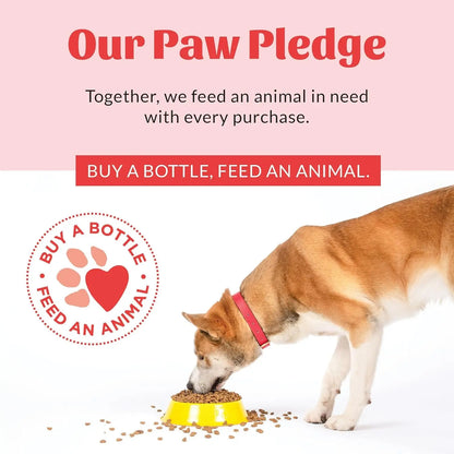 Skout’s Honor Probiotic Pet Detangler Spray – Hydrating & Conditioning