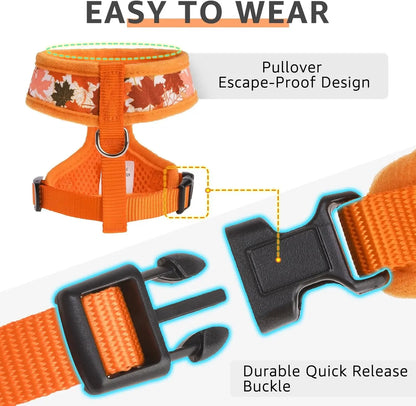 Small Dog or Cat Fall Harness, Collar & Leash Set– No Pull Adjustable Vest(Xs-M)