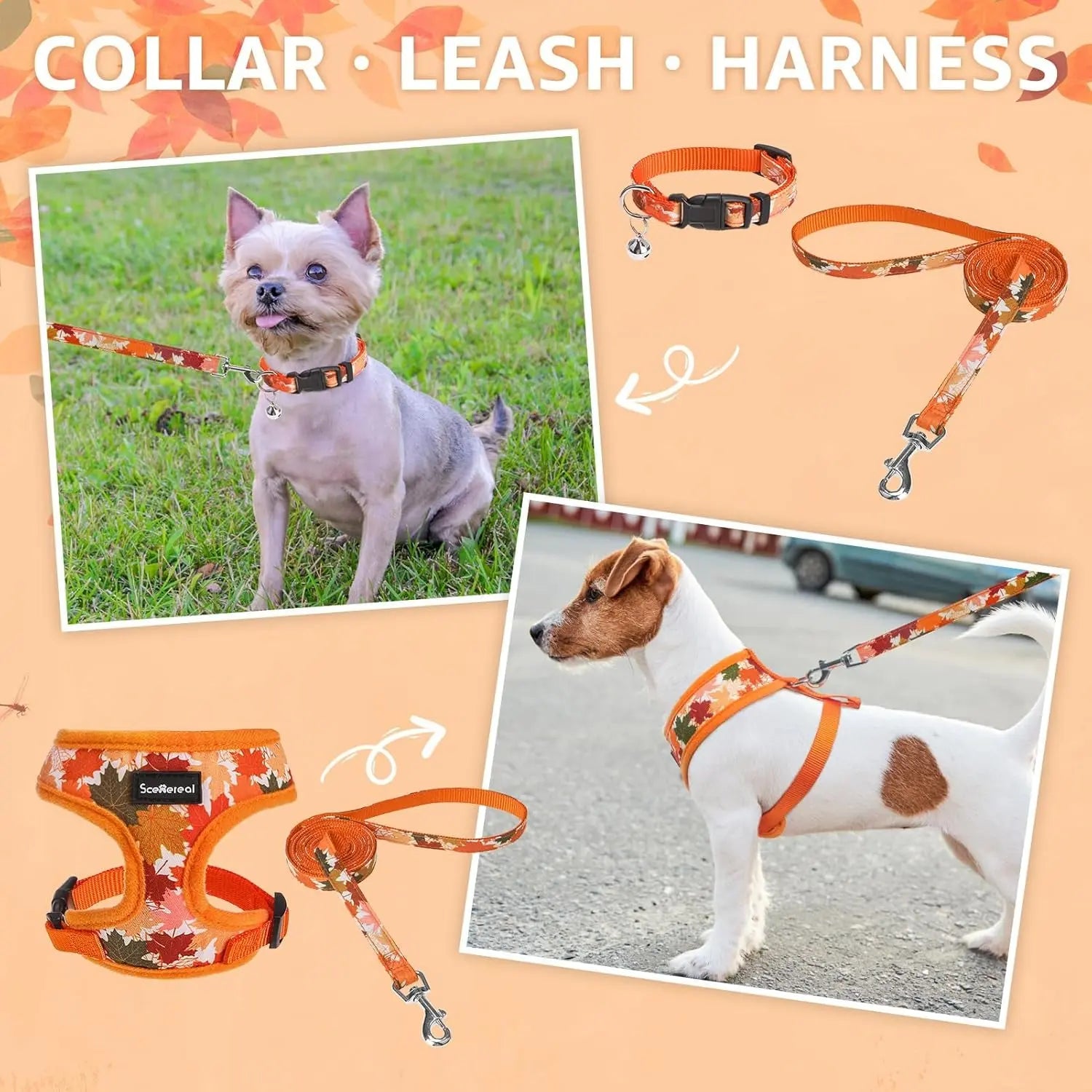 Small Dog or Cat Fall Harness, Collar & Leash Set– No Pull Adjustable Vest(Xs-M)