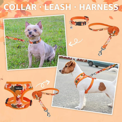 Small Dog or Cat Fall Harness, Collar & Leash Set– No Pull Adjustable Vest(Xs-M)