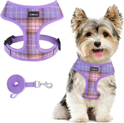 Small Dog or Cat Fall Harness, Collar & Leash Set– No Pull Adjustable Vest(Xs-M) Purple