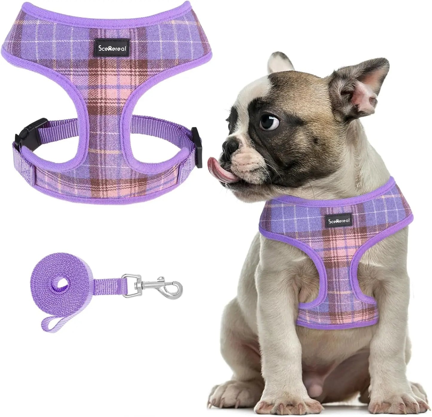 Small Dog or Cat Fall Harness, Collar & Leash Set– No Pull Adjustable Vest(Xs-M) Purple M: Chest Girth: 17"-21"