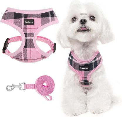 Small Dog or Cat Fall Harness, Collar & Leash Set– No Pull Adjustable Vest(Xs-M) Pink