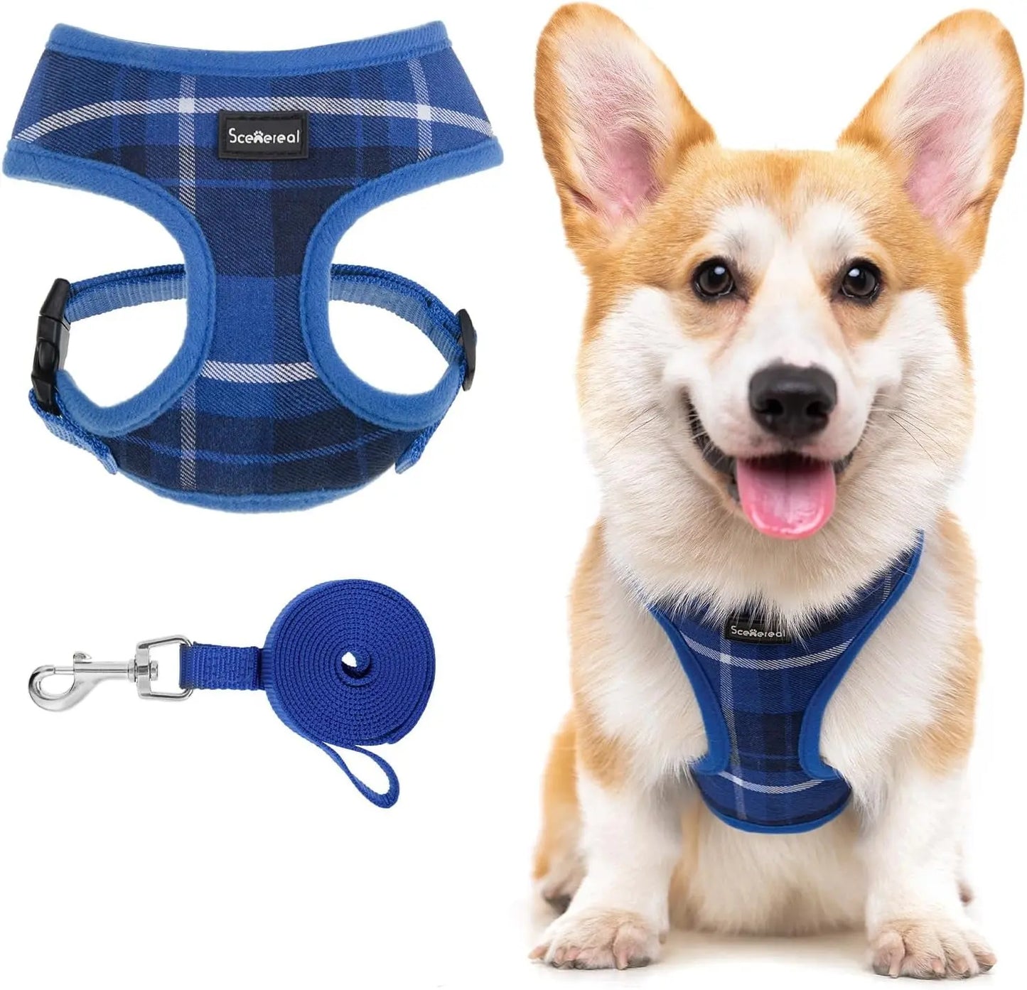 Small Dog or Cat Fall Harness, Collar & Leash Set– No Pull Adjustable Vest(Xs-M) Blue M: Chest Girth: 17"-21"