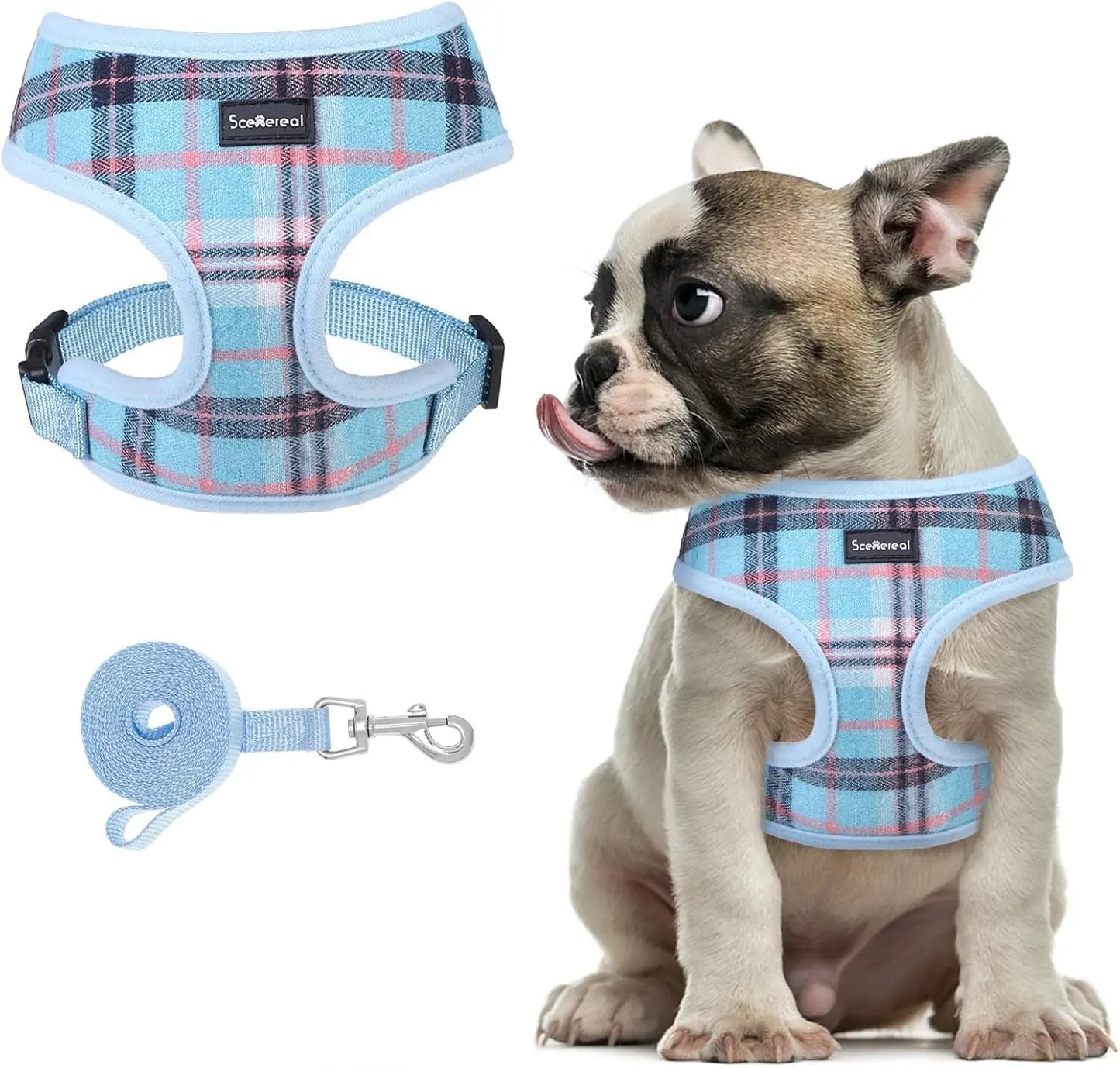 Small Dog or Cat Fall Harness, Collar & Leash Set– No Pull Adjustable Vest(Xs-M) Sky Blue M: Chest Girth: 17"-21"