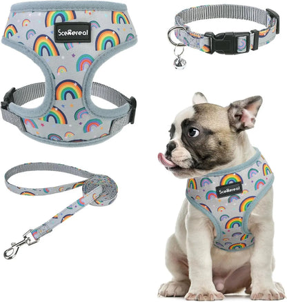 Small Dog or Cat Fall Harness, Collar & Leash Set– No Pull Adjustable Vest(Xs-M) Gray-Rainbow (With Collar) M: Chest Girth: 17"-21"
