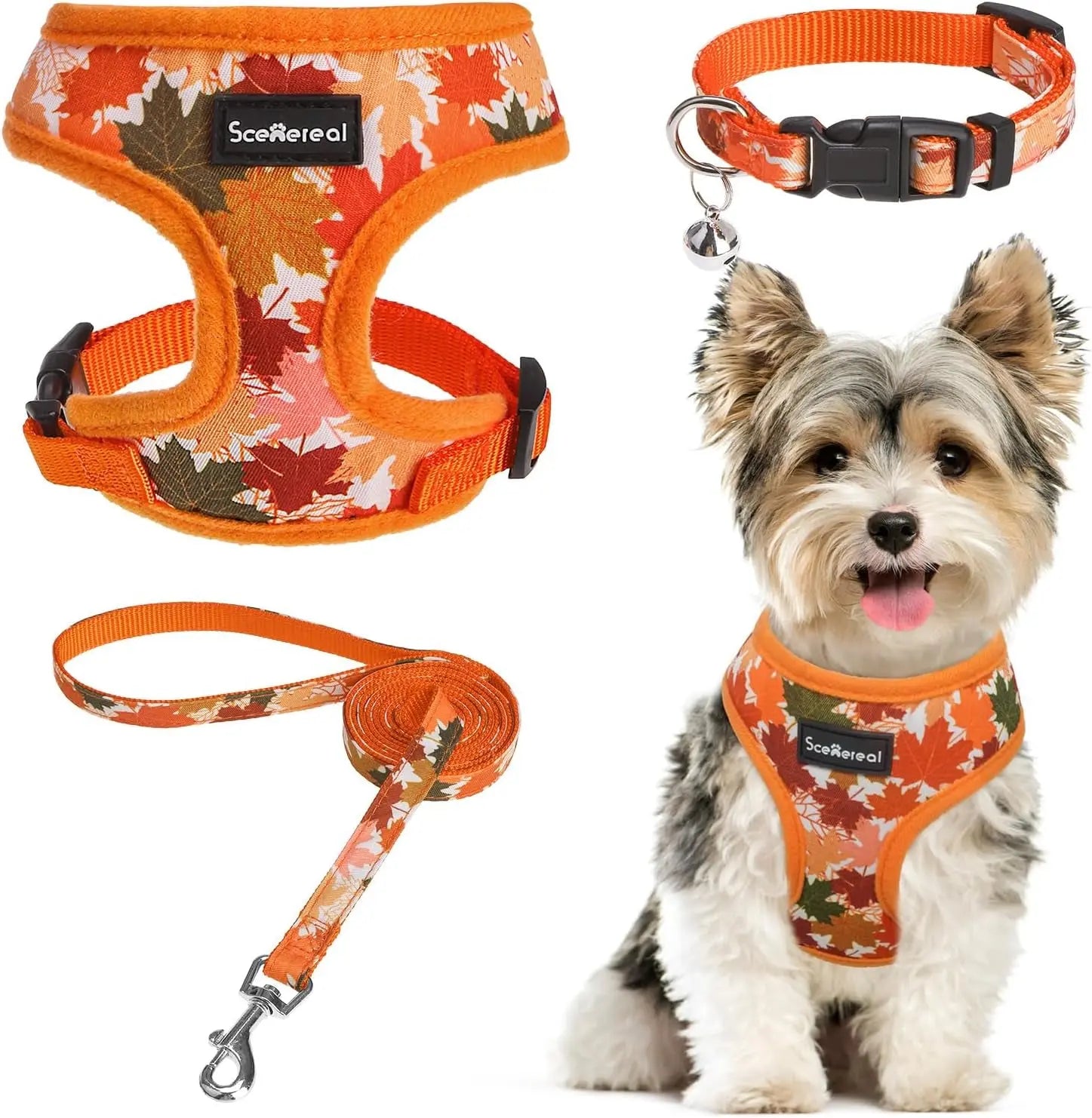 Small Dog or Cat Fall Harness, Collar & Leash Set– No Pull Adjustable Vest(Xs-M) Orange-Maple Leaf