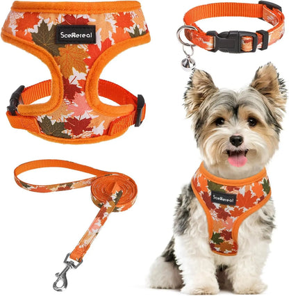 Small Dog or Cat Fall Harness, Collar & Leash Set– No Pull Adjustable Vest(Xs-M) Orange-Maple Leaf