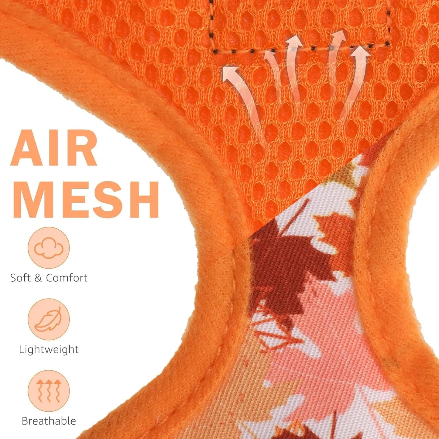 Small Dog or Cat Fall Harness, Collar & Leash Set– No Pull Adjustable Vest(Xs-M)