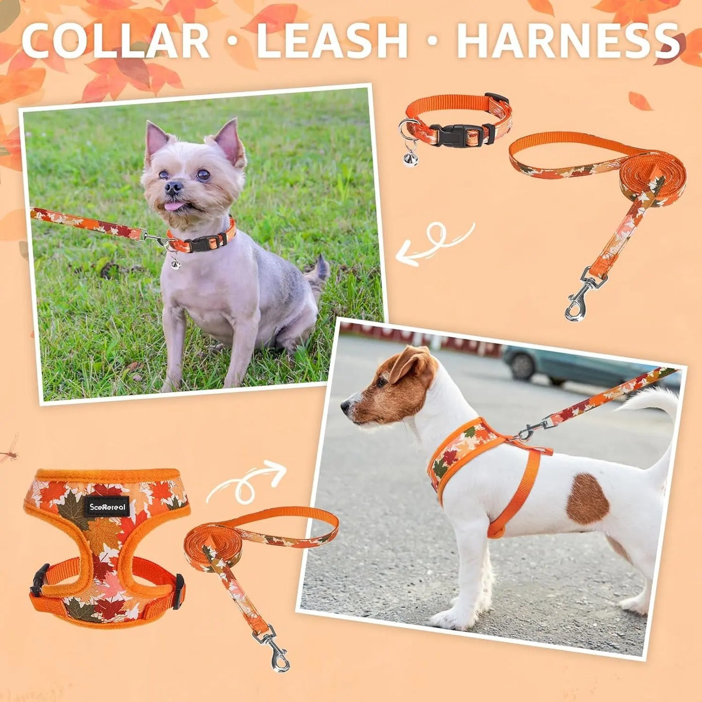 Small Dog or Cat Fall Harness, Collar & Leash Set– No Pull Adjustable Vest(Xs-M)