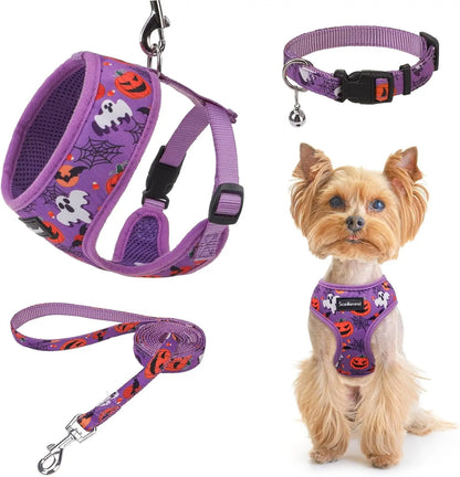 Small Dog or Cat Fall Harness, Collar & Leash Set– No Pull Adjustable Vest(Xs-M) Purple-Halloween (With Collar)