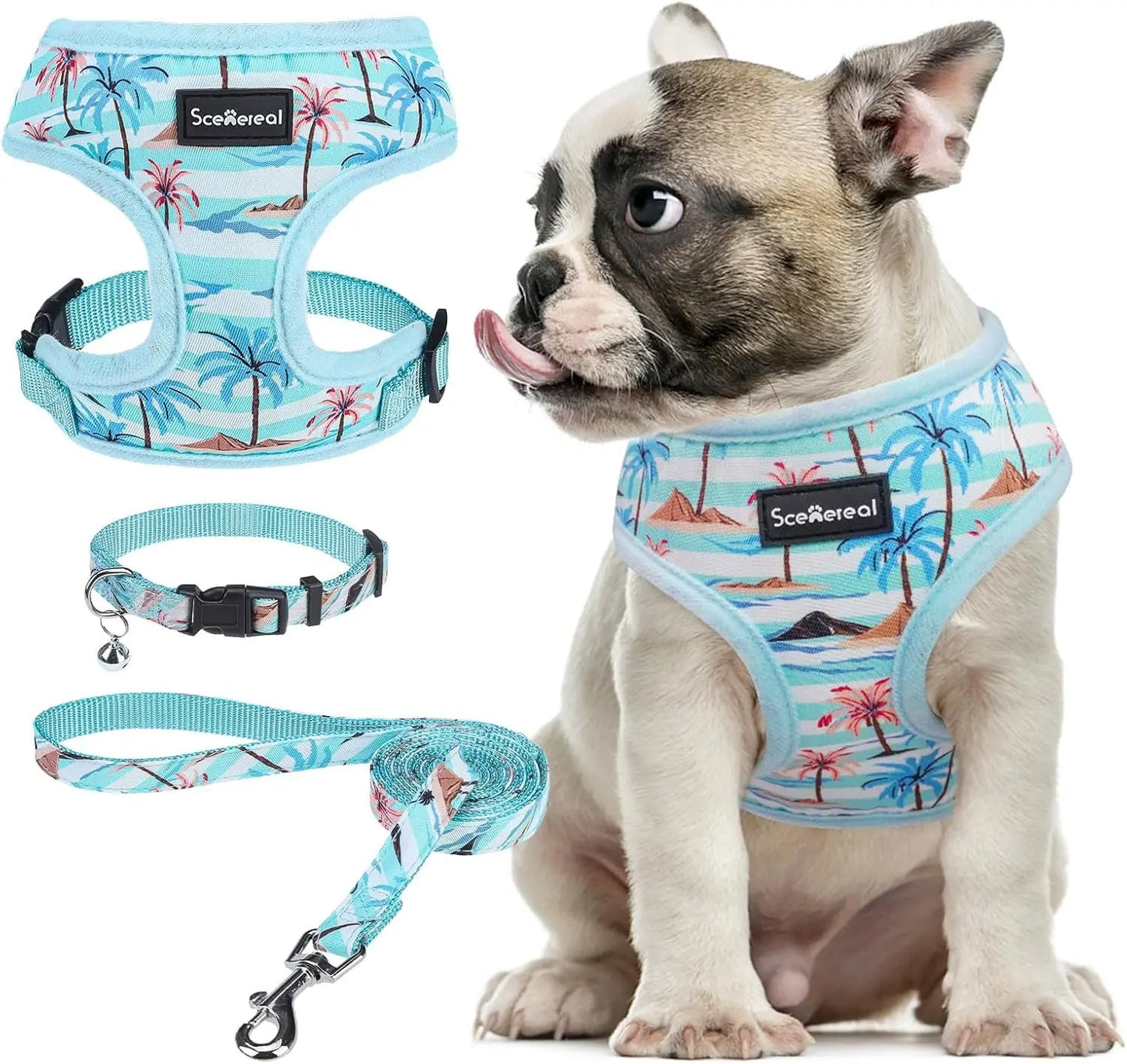 Small Dog or Cat Fall Harness, Collar & Leash Set– No Pull Adjustable Vest(Xs-M) Blue-Coconut Tree M: Chest Girth: 17"-21"