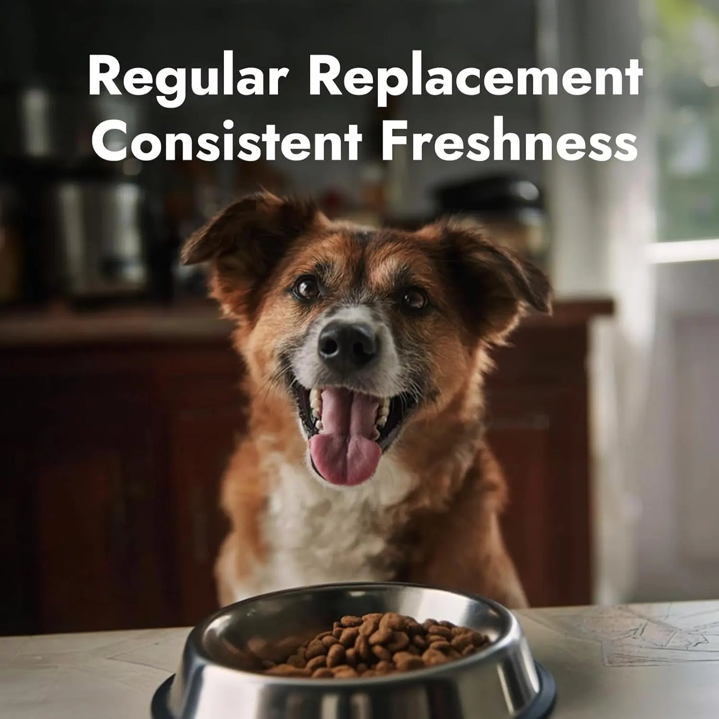 Smart Automatic Dog Feeder 14L – WiFi App Control & Dual Power For Large Dogs