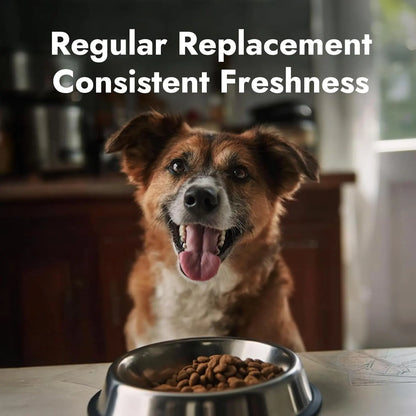 Smart Automatic Dog Feeder 14L – WiFi App Control & Dual Power For Large Dogs