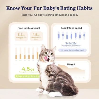 Smart Automatic Pet Feeder WiFi Scale App Control 3.6L Dual Power