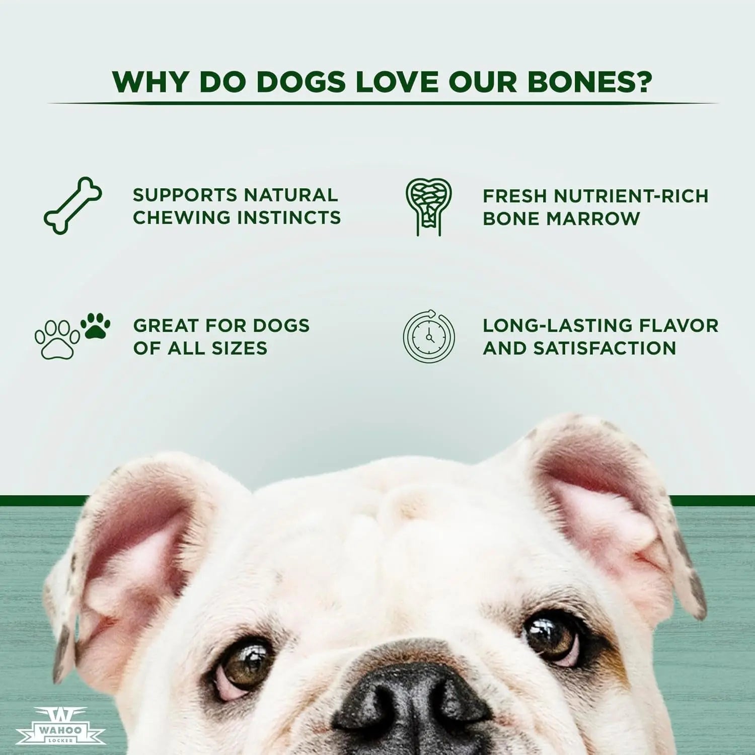 Smoked Beef Dog Bones 1.5" 4 Pack Natural Hickory Smoked Chews, natural