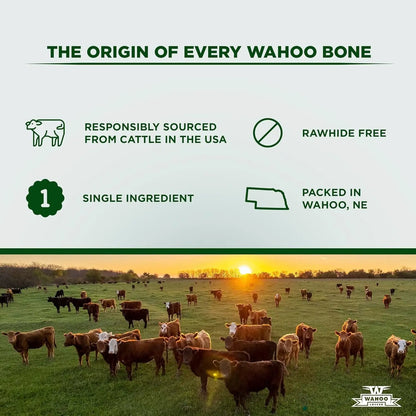 Smoked Beef Dog Bones 1.5" 4 Pack Natural Hickory Smoked Chews, natural