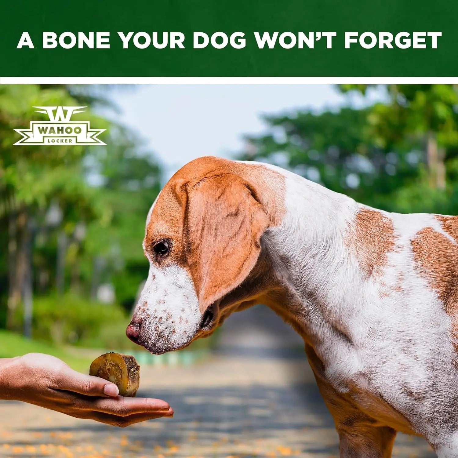 Smoked Beef Dog Bones 1.5" 4 Pack Natural Hickory Smoked Chews, natural