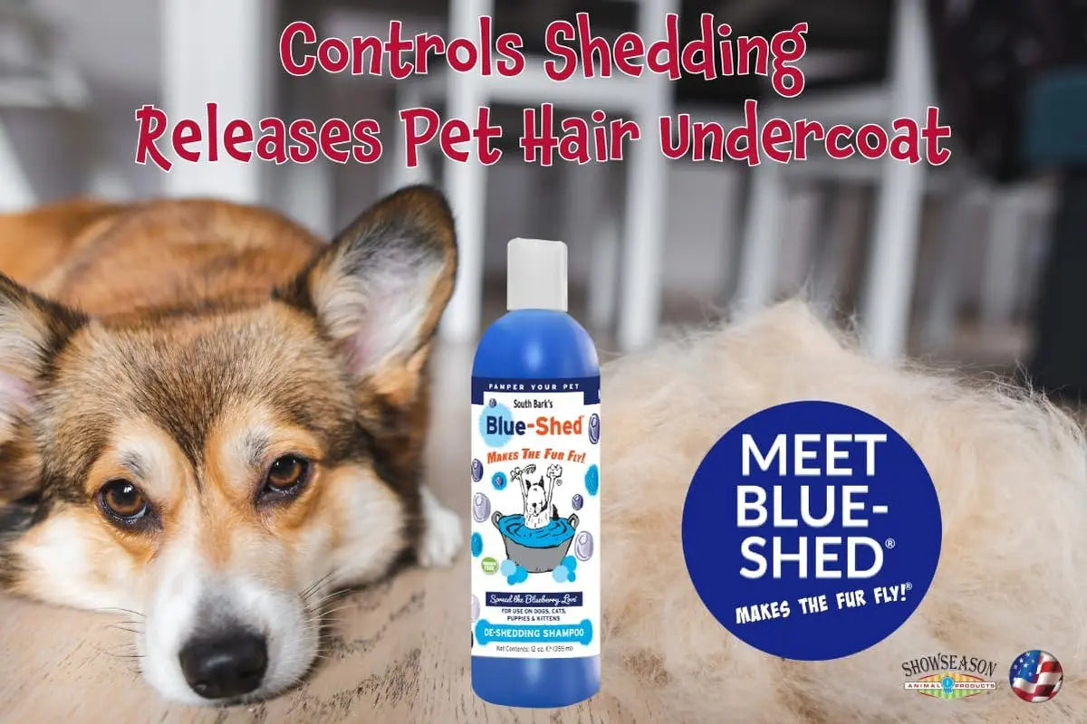 South Bark Blue-Shed Pet Shampoo 12oz – Deshedding & Brightening for Dogs & Cats