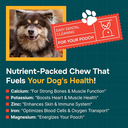 Split Elk Antlers for Dogs – Natural Long-Lasting Chew for Small & Medium Dogs