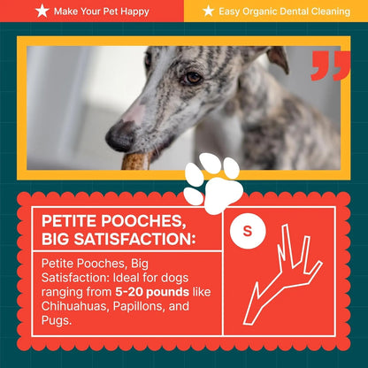 Split Elk Antlers for Dogs – Natural Long-Lasting Chew for Small & Medium Dogs